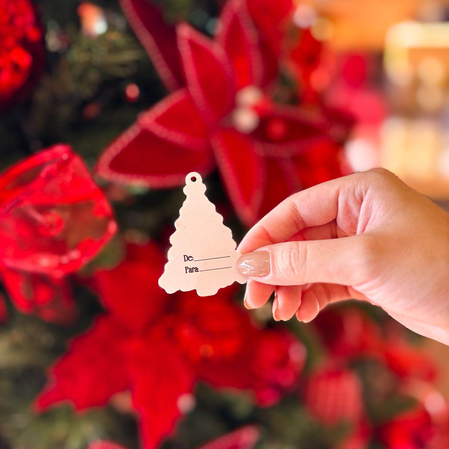 TAG DECORATIVA NATAL