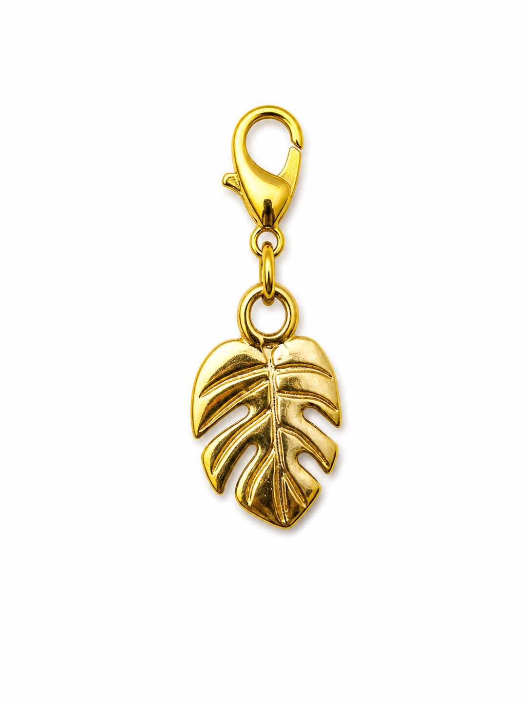 CHARM COSTELA DE ADÃO DOURADA